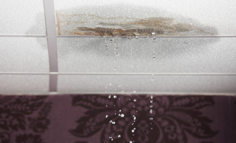 Plumber Beaumont Hills